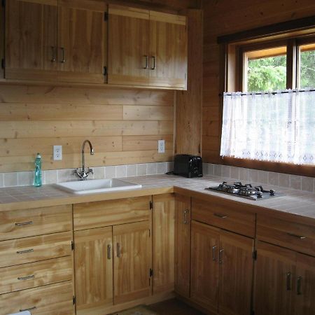 Tschurtschenthaler Rentals Голден Экстерьер фото